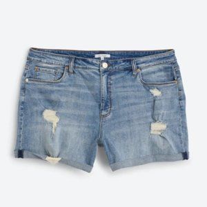 Shorts - Super high Rise cuffed Boyfriend Short